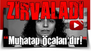 HDP’li vekil Aydeniz'den skandal sözler: Muhatap Öcalan'dır!