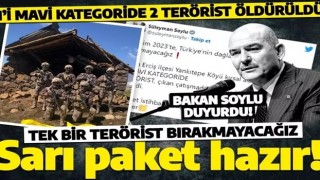 İçişleri Bakanı Soylu sıcak gelişmeyi duyurdu: Van’da 2 terörist çıkan çatışmada etkisiz hale getirildi