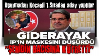 İYİ Parti'nin maskesi düştü! Aytun Çıray yaşanan çöküşün nedenini böyle açıkladı: Şehidin bacısına küfrettin