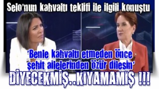 Meral Akşener, Selahattin Demirtaş'a kahvaltı sözü vermesini böyle savundu