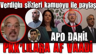 Öcalan dahil tüm PKK'lılar için genel af çıkarılacak! HDP'li Sırrı Sakık vaatlerini duyurdu Kılıçdaroğlu'na seslendi: Verdiğin sözleri kamuoyu ile paylaş