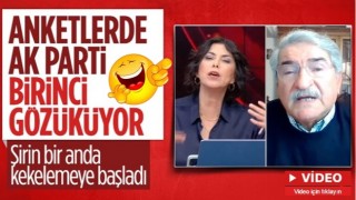 Şirin Payzın, anketlerde AK Parti ve Cumhurbaşkanı Erdoğan'ın birinci olduğunu duyunca lafını unuttu