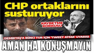 CHP'yi ikinci turda kaybetme korkusu sardı! Demirtaş'a 'tweet paylaşma' uyarısı!