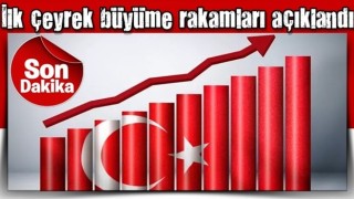 İlk çeyrek büyüme rakamları açıklandı