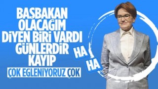 Meral Akşener seçimden sonra sessizliğe büründü