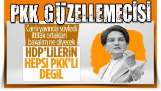 Meral Akşener'den HDP yorumu: Oylarının içinde PKK'yı desteklemeyen de var