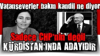 PKK'dan Kılıçdaroğlu'na destek sürüyor: Sadece CHP'nin değil Kürdistan'ın adayıdır