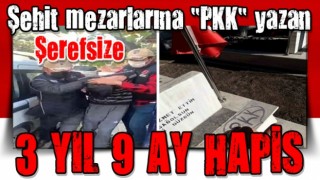 Şehit mezarlarına "PKK" yazan kalleşe 3 yıl 9 ay hapis! .