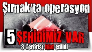 Şırnak'ta operasyon: 4 jandarmamız 1 korucumuz şehit oldu, 3 terörist öldürüldü