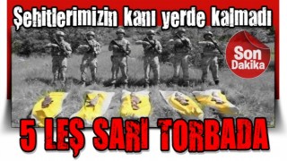 Son dakika: Şehitlerimizin kanı yerde kalmadı! 5 leş sarı torbada