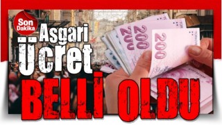 Asgari Ücret belli oldu...11 BİN 402 TL