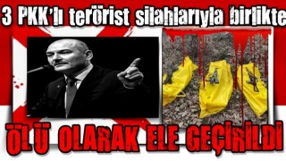 Bakan Soylu duyurdu: 3 PKK'lı terörist silahlarıyla birlikte ölü olarak ele geçirildi!