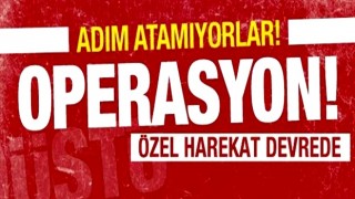 Bakan Yerlikaya duyurdu! Teröristlerin tepesine çöküldü