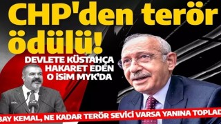 Devlete 'terörist' diyen Devrim Barış Çelik CHP'nin MYK listesinde