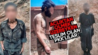 Irak'ta güvenlik güçlerine teslim olan teröristlerin sefalet içindeki hali