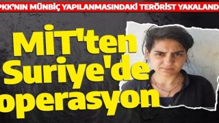 MİT'ten Suriye'de operasyon! PKK'nın Münbiç yapılanmasındaki terörist yakalandı