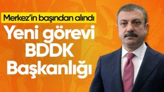 Şahap Kavcıoğlu, BDDK'nın başına atandı