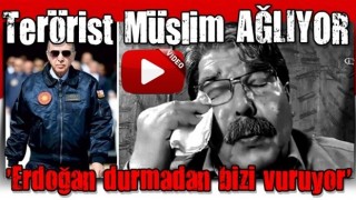 Terörist elebaşı Salih Müslim'in çaresizliği: 'Erdoğan durmadan bizi vuruyor'