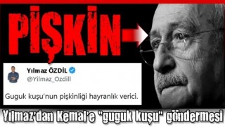 Yılmaz Özdil'den Kemal Kılıçdaroğlu'na "guguk kuşu" göndermesi