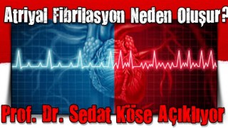 Atriyal Fibrilasyon Neden Oluşur? Prof. Dr. Sedat Köse Açıklıyor…