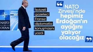 Fransız diplomattan Erdoğan yorumu: Hepimiz ayağını yalayacağız