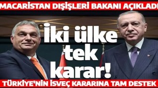 Macaristan'dan Türkiye'nin İsveç kararına destek