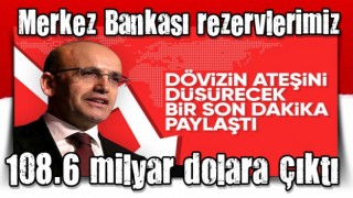 Mehmet Şimşek: Merkez Bankası rezervleri 108.6 milyar dolara çıktı