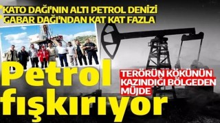 Terörün kökünün kazındığı bölgeden müjde! Kato Dağı'nın altı petrol denizi!