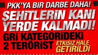 Bakan Yerlikaya: Biri gri kategoride 2 terörist etkisiz!