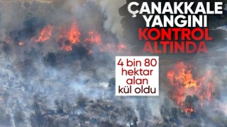 Çanakkale'deki orman yangını kontrol altına alındı