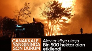 Çanakkale'deki orman yangınında son durum