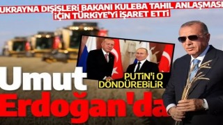 Ukrayna'nın Erdoğan umudu: 'Erdoğan, Putin'in tahıl anlaşmasına dönmesini sağlayabilecek tek lider'