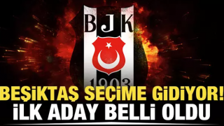 Olağanüstü seçim kararı alan Beşiktaş'ta ilk başkan adayı belli oldu