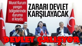 Murat Kurum: İzmir ile Bilecik'te 415 ev ve iş yeri yangınlarda zarar gördü