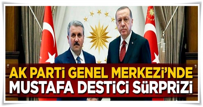 Cumhurbaşkanı Erdoğan ile Mustafa Destici arasında görüşme