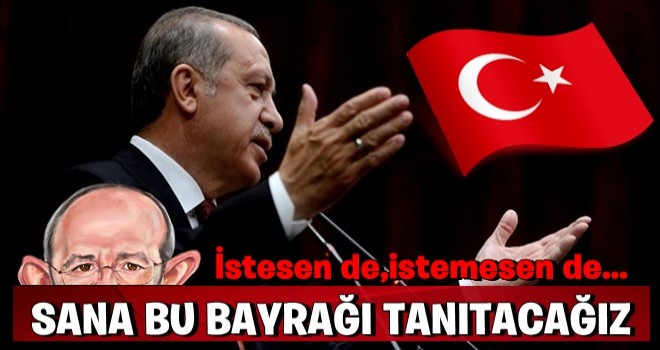 Başkan Erdoğan: İstesen de istemesen de sana bu bayrağı tanıtacağız!