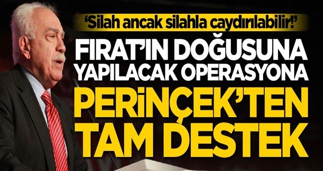 Perinçek'ten Fırat'ın doğusuna yönelik operasyon açıklaması