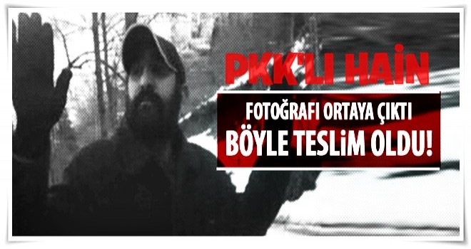 Fotoğrafı ortaya çıktı! Böyle teslim oldu