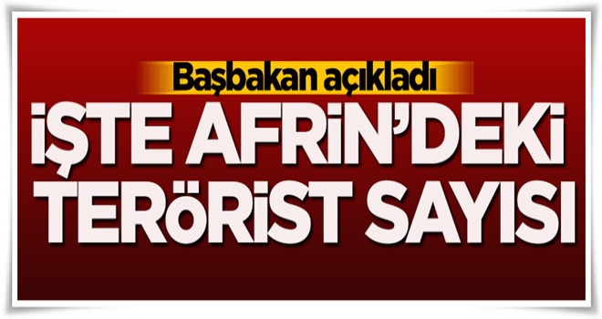 Afrin'deki terörist sayısı açıklandı!