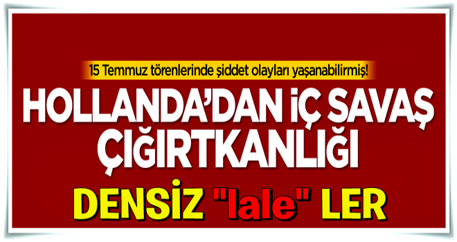 Hollanda'dan 'iç savaş' çığırtkanlığı!