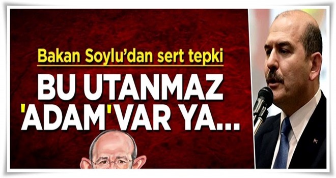 Süleyman Soylu'dan sert tepki: Be utanmaz adam var ya...