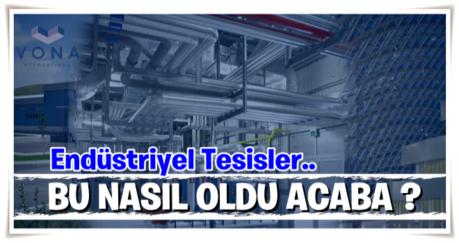 Bu nasıl oldu acaba?