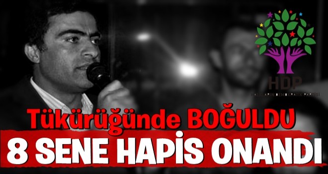 HDP'li milletvekili Abdullah Zeydan'a 8 yıl hapis cezası onandı