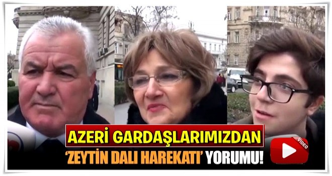 İşte Azerbaycan halkının 'Zeytin Dalı Harekatı' hakkındaki fikri!