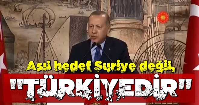 Başkomutan Erdoğan: "Karşımızdaki senaryonun asıl hedefi Suriye değil, Türkiye'dir.