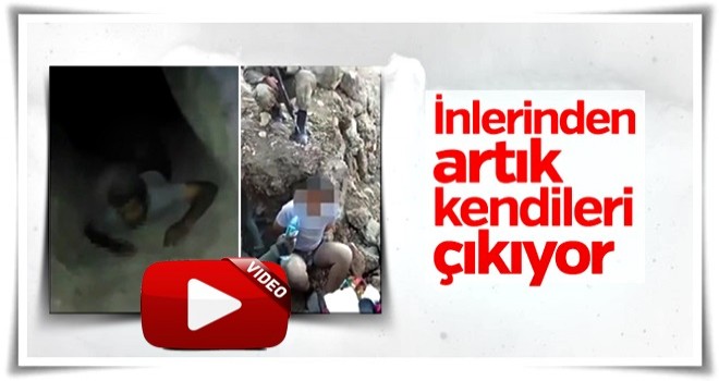 PKK'lı teröristlerin teslim olma anları