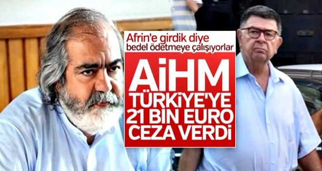 AİHM'den Mehmet Altan ve Şehin Alpay kararı