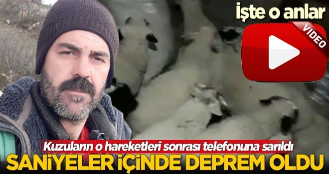 Kuzuların hareketleri sonrası telefonuna sarıldı! Saniyeler içinde deprem oldu