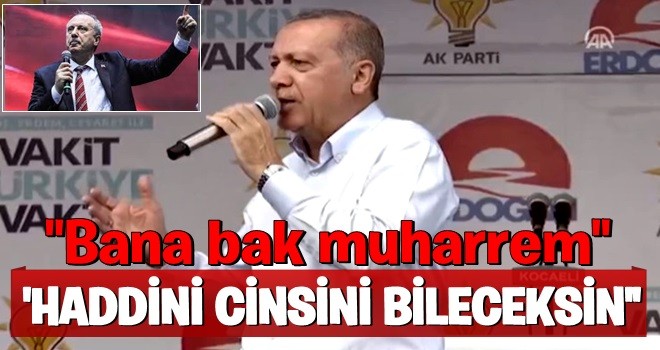 Erdoğan: Haddini cinsini bileceksin