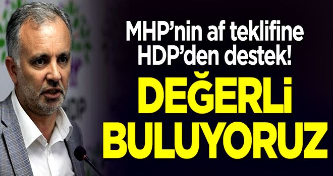 MHP'nin af teklifine HDP'den destek: Değerli buluyoruz